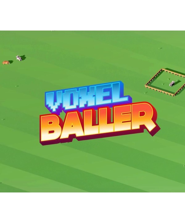 Voxel Baller Steam Key GLOBAL